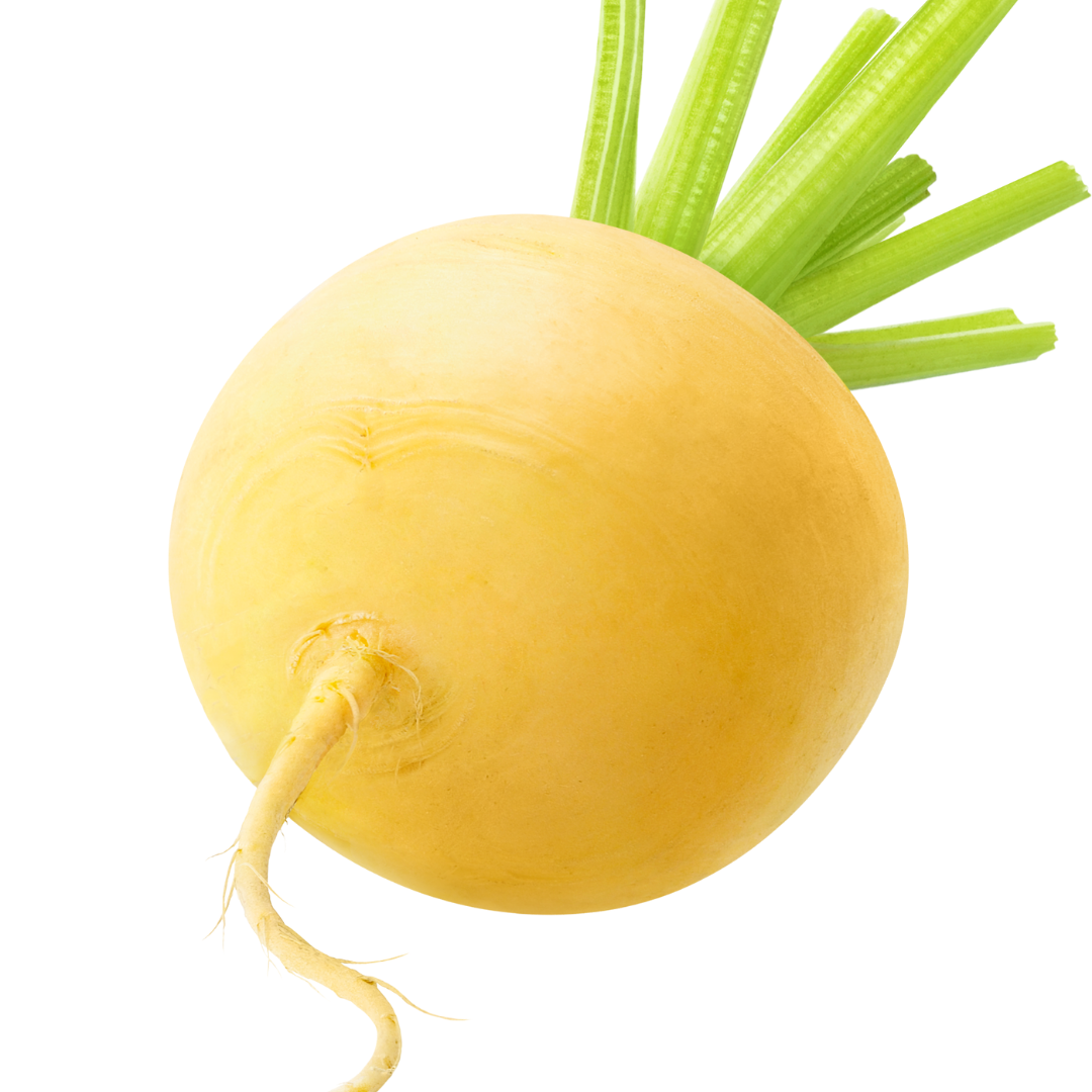 Majrova - Golden Ball