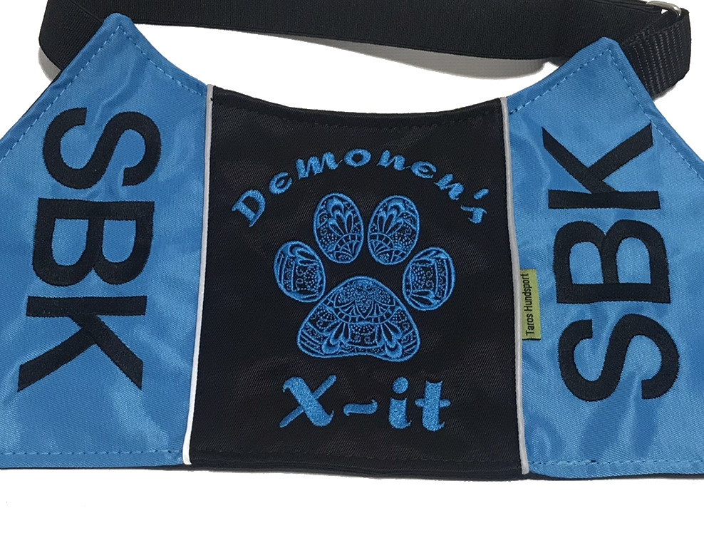 Dekorativ tass - Brodyr 55 - 2
