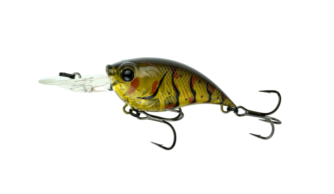6th Sense Curve 55 - 19