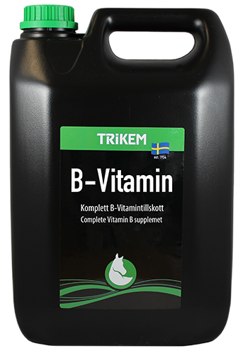 Vitamin B 1 Liter Vimital TRIKEM