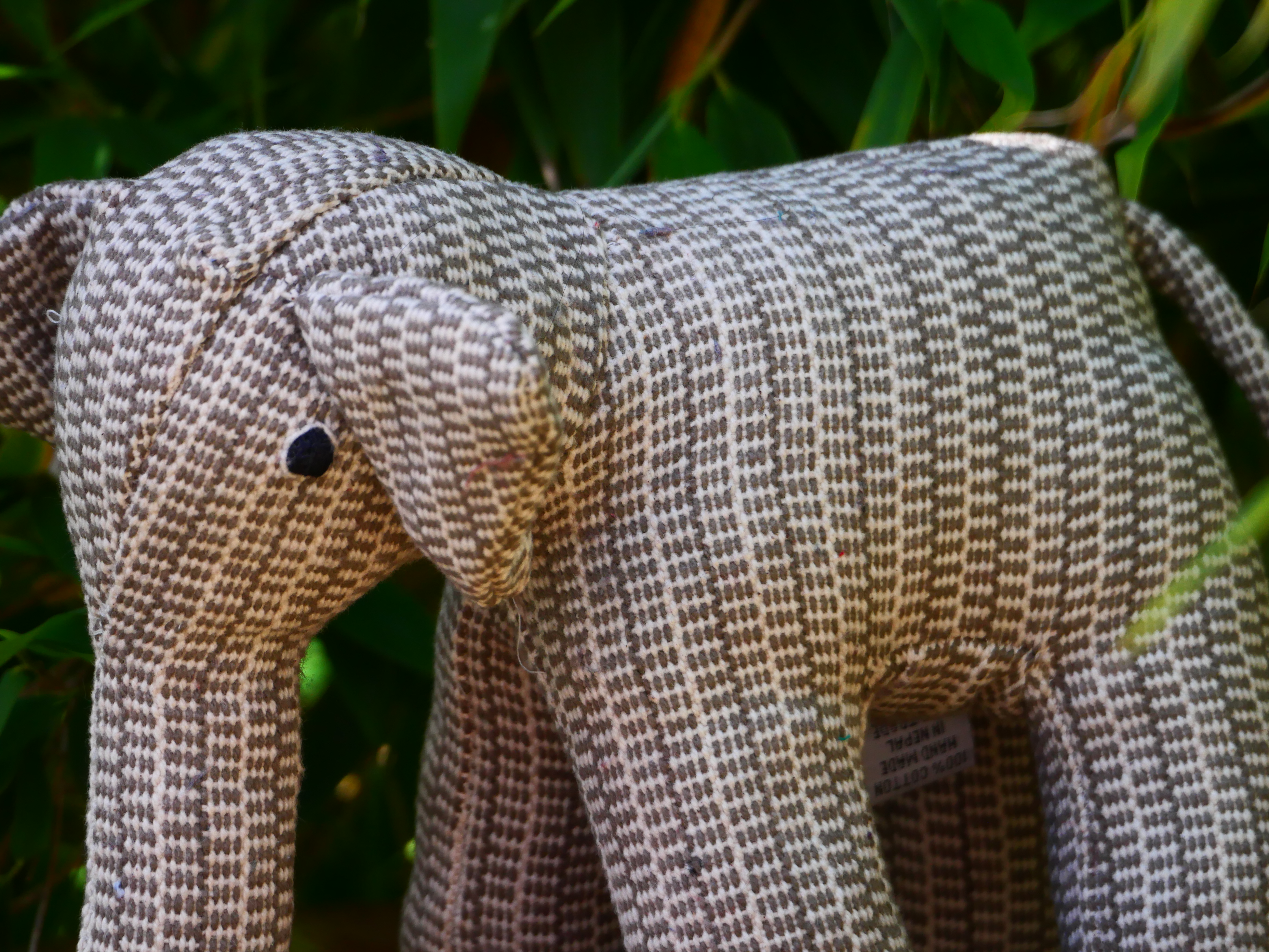 Pelle elefant - 6