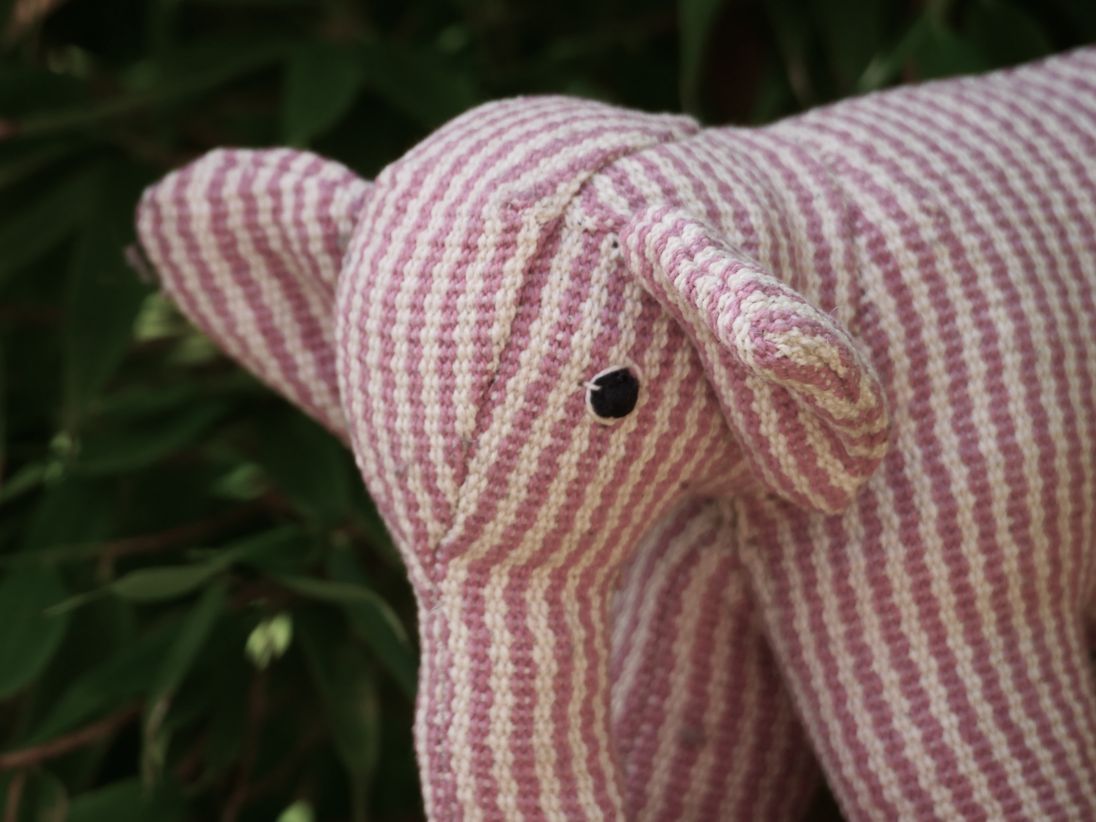 Pelle elefant - 4