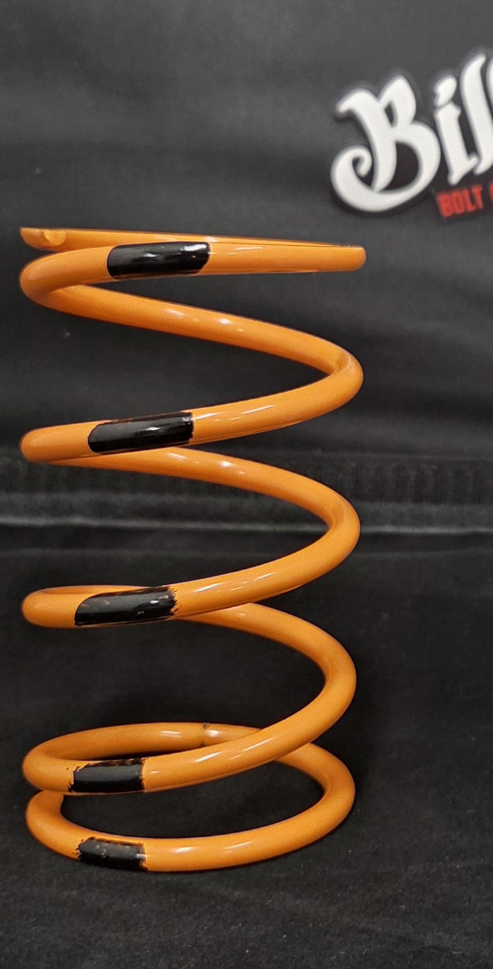 Venom SECONDARY SPRINGS BRP QRS 2008—> - 5