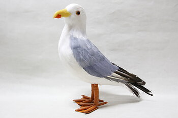 Great black-backed Gull Standing 29x25x11 cm