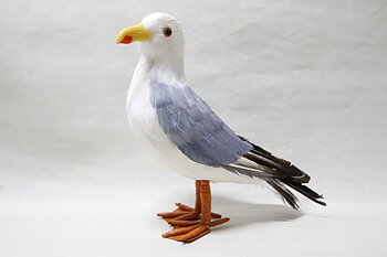 Great black-backed Gull Standing 29x25x11 cm