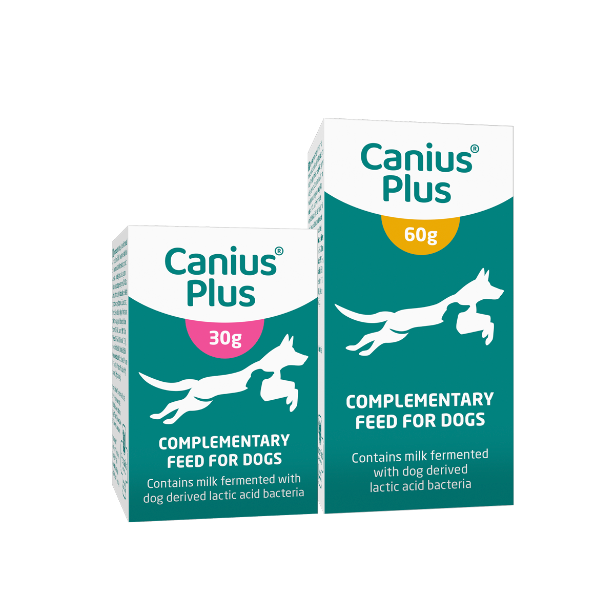 Canius plus
