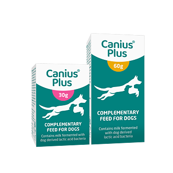 Canius plus