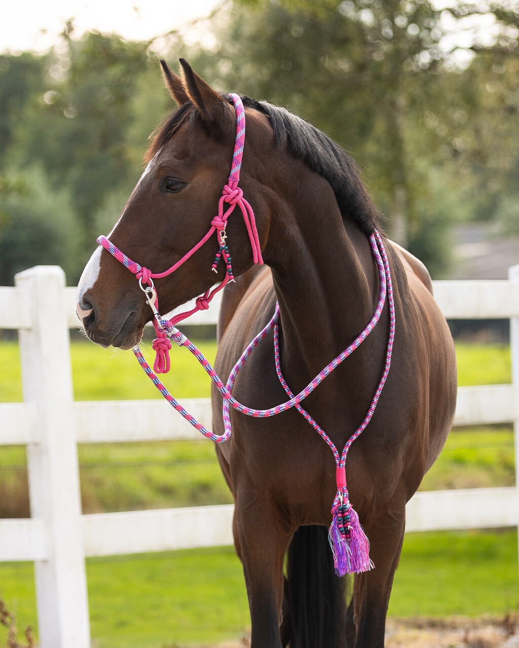 Rope halter combi Liberty QHP,  fuchsia