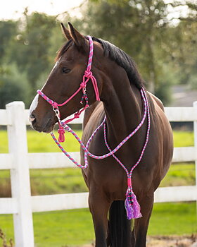 Ridrepgrimma med halsring & tyglar QHP 'Liberty', fuchsiarosa