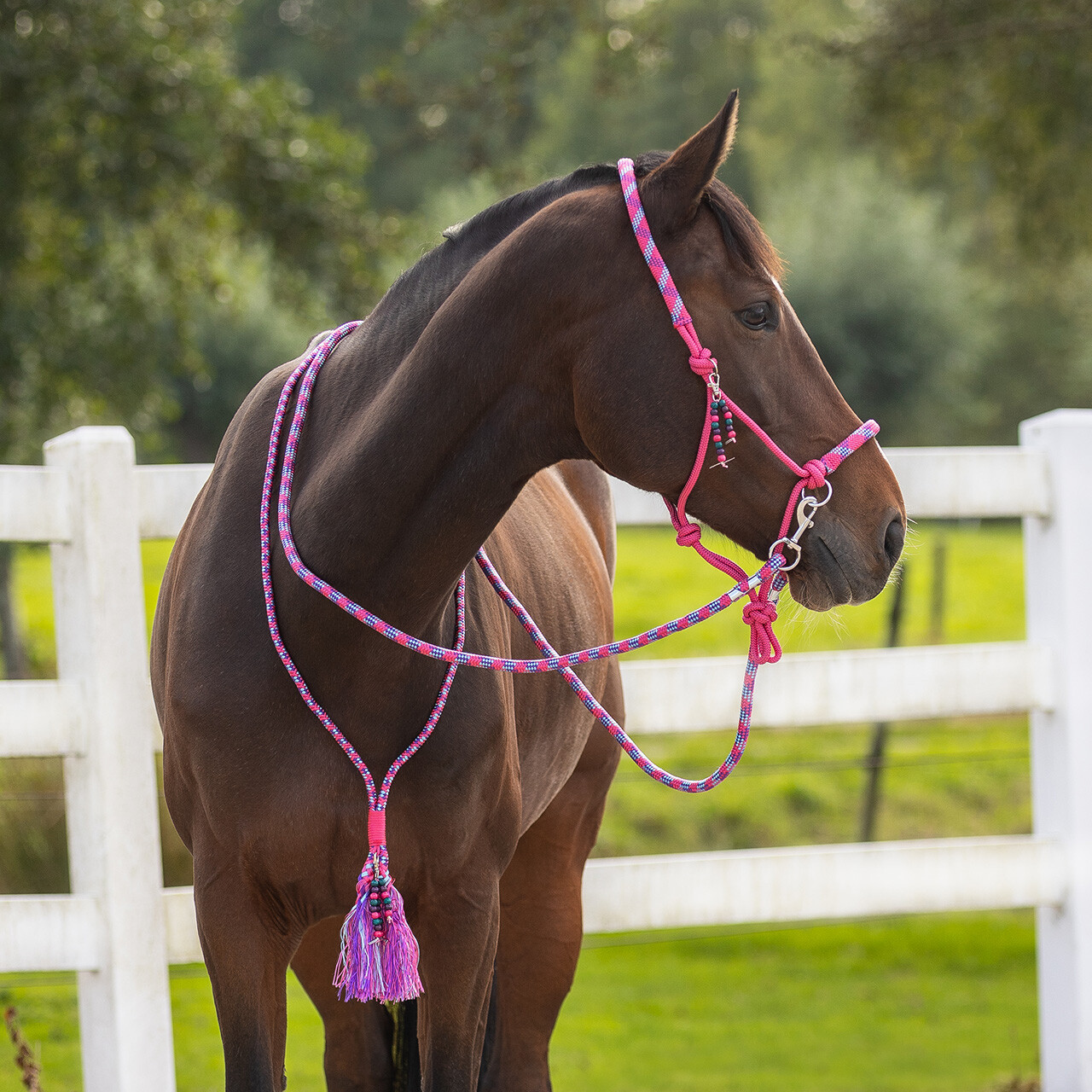 Rope halter combi Liberty QHP,  fuchsia - 8