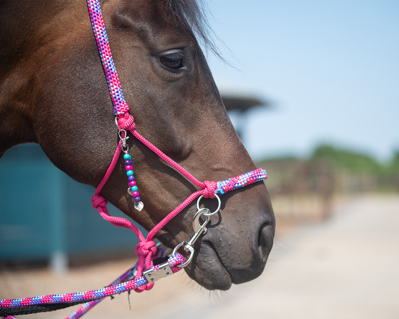 Rope halter combi Liberty QHP,  fuchsia - 3