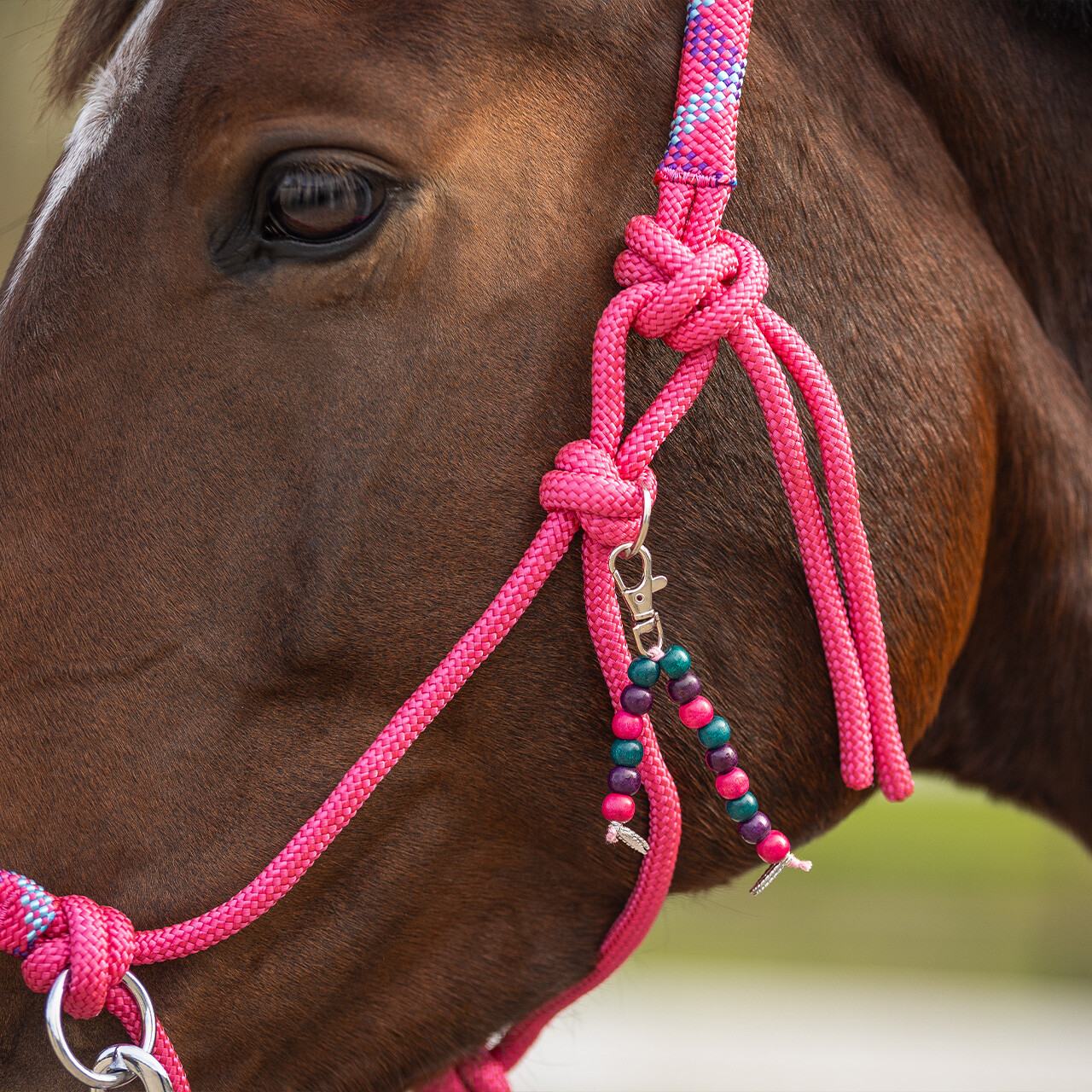 Rope halter combi Liberty QHP,  fuchsia - 10
