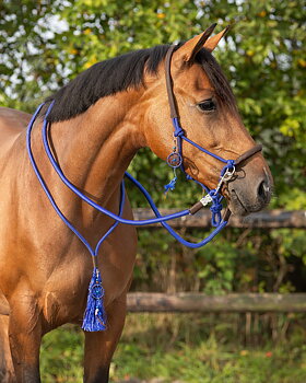 Ridrepgrimma med halsring & tyglar QHP 'Liberty', koboltblå