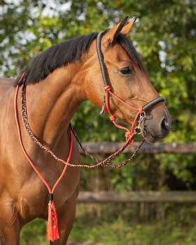 Ridrepgrimma med halsring & tyglar QHP 'Liberty', röd