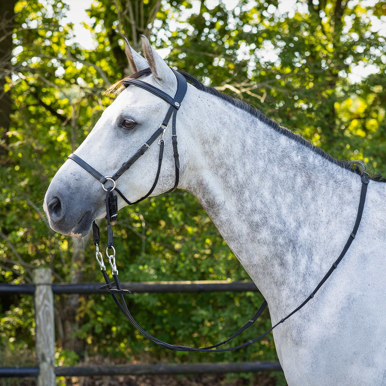 Bitless Bridle + Sidepull (3-i-1) QHP Ceto, inkl. tyglar, svart - 7