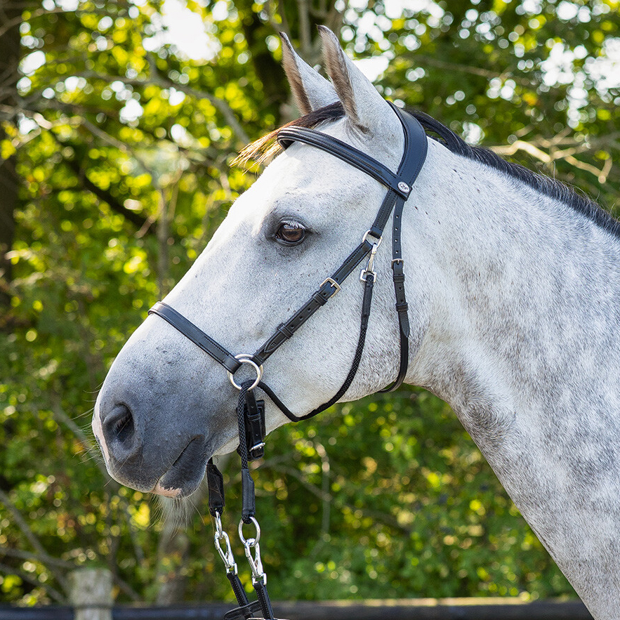 Bitless Bridle + Sidepull (3-i-1) QHP Ceto, inkl. tyglar, svart - 11