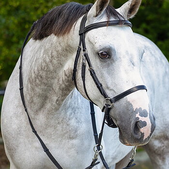 Bitless Bridle + Sidepull (3-i-1) QHP Ceto, inkl. tyglar, svart