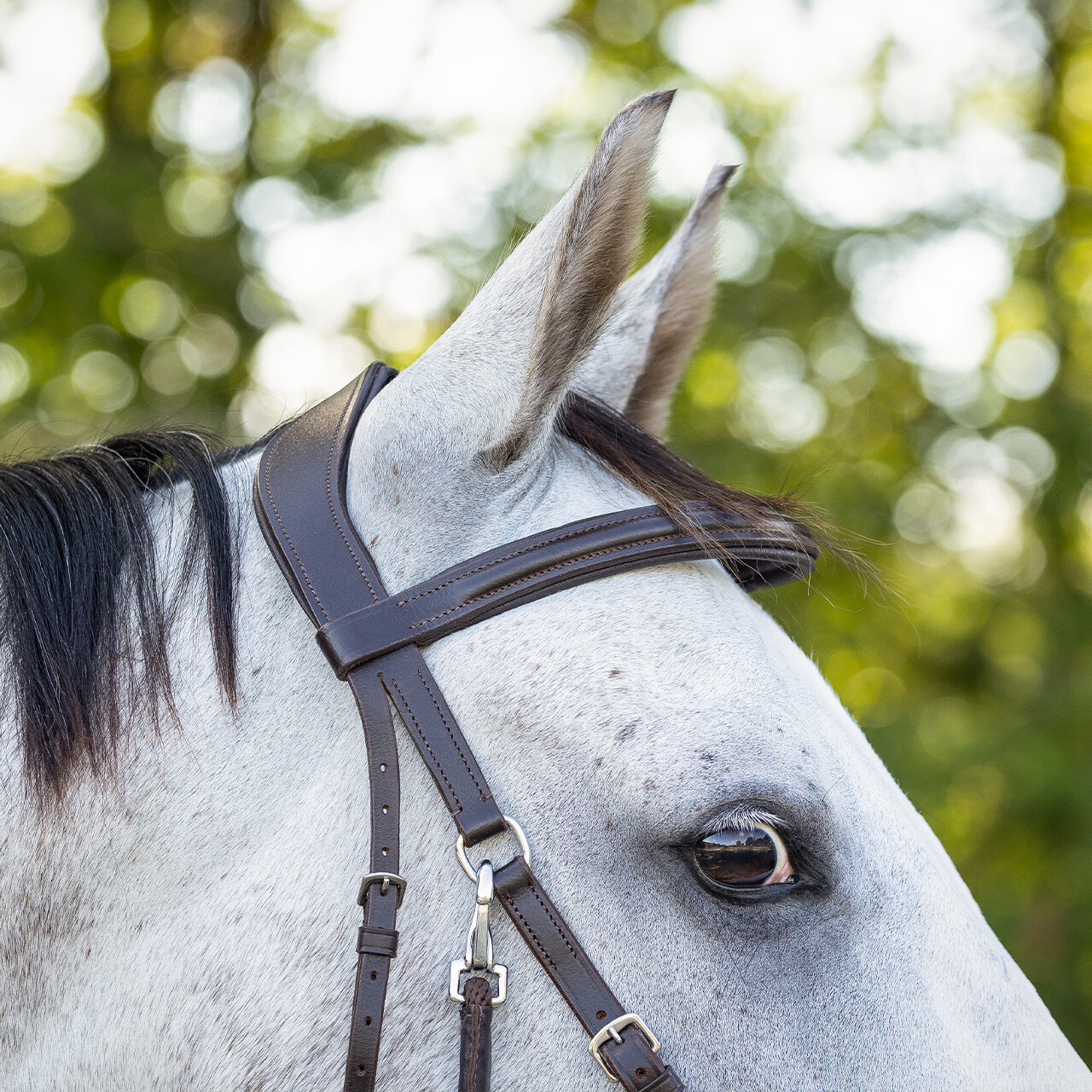 Bitless bridle Ceto QHP, brown - 11