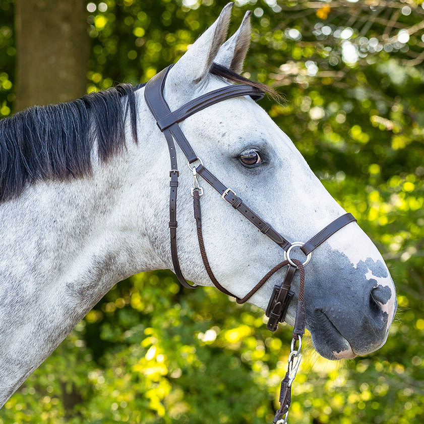 Bitless bridle Ceto QHP, brown
