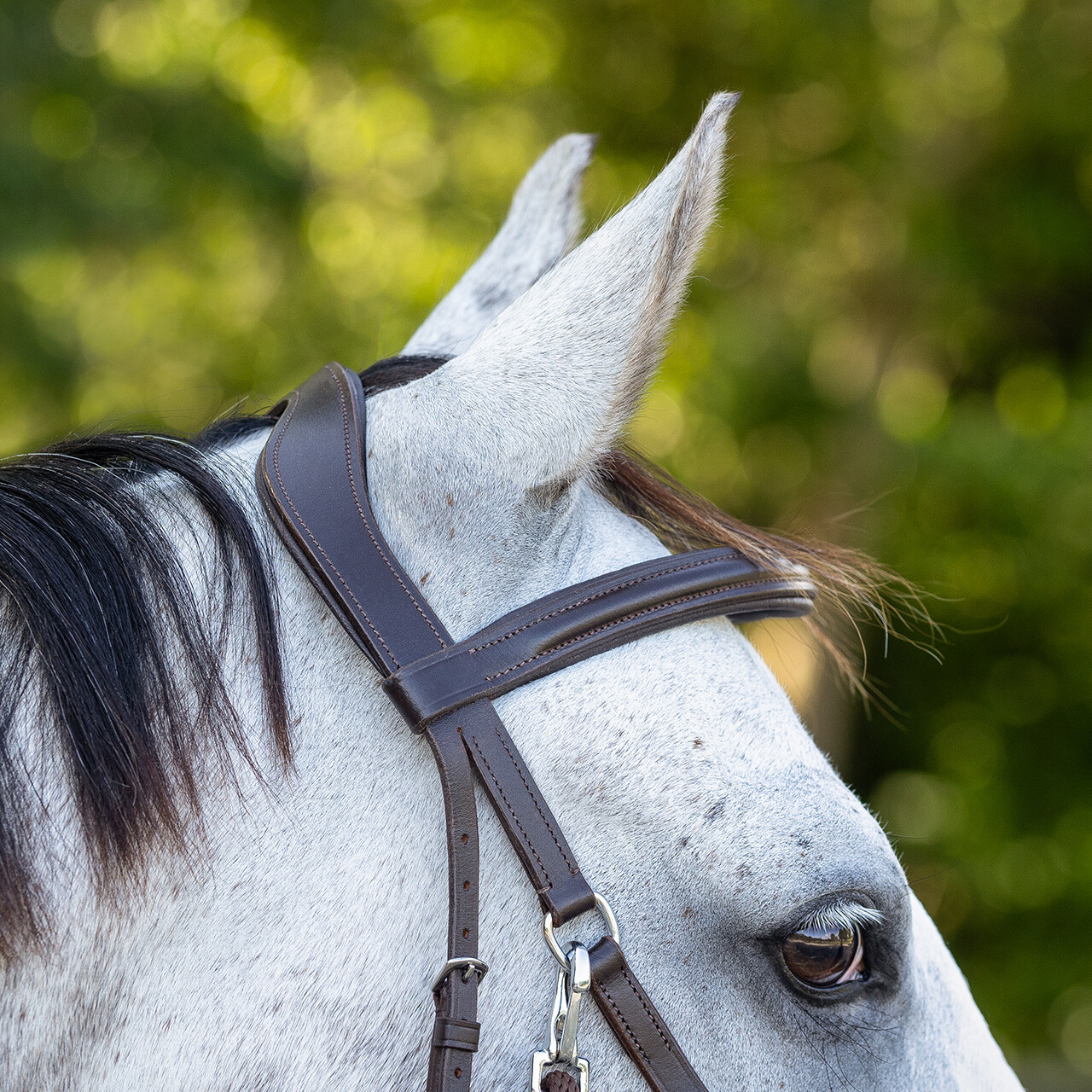 Bitless bridle Ceto QHP, brown - 10