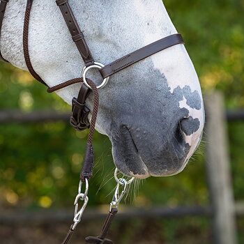 Bitless Bridle + Sidepull (3-i-1) QHP Ceto, inkl. tyglar, brun
