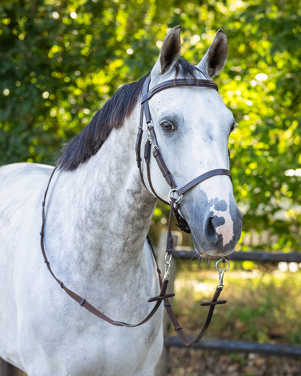 Bitless bridle Ceto QHP, brown - 12
