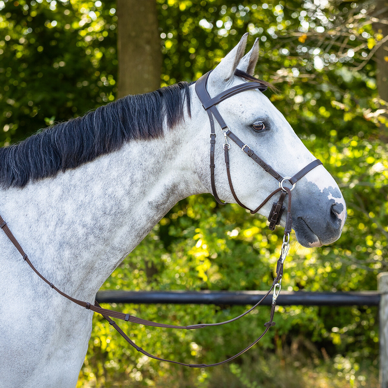 Bitless bridle Ceto QHP, brown - 13