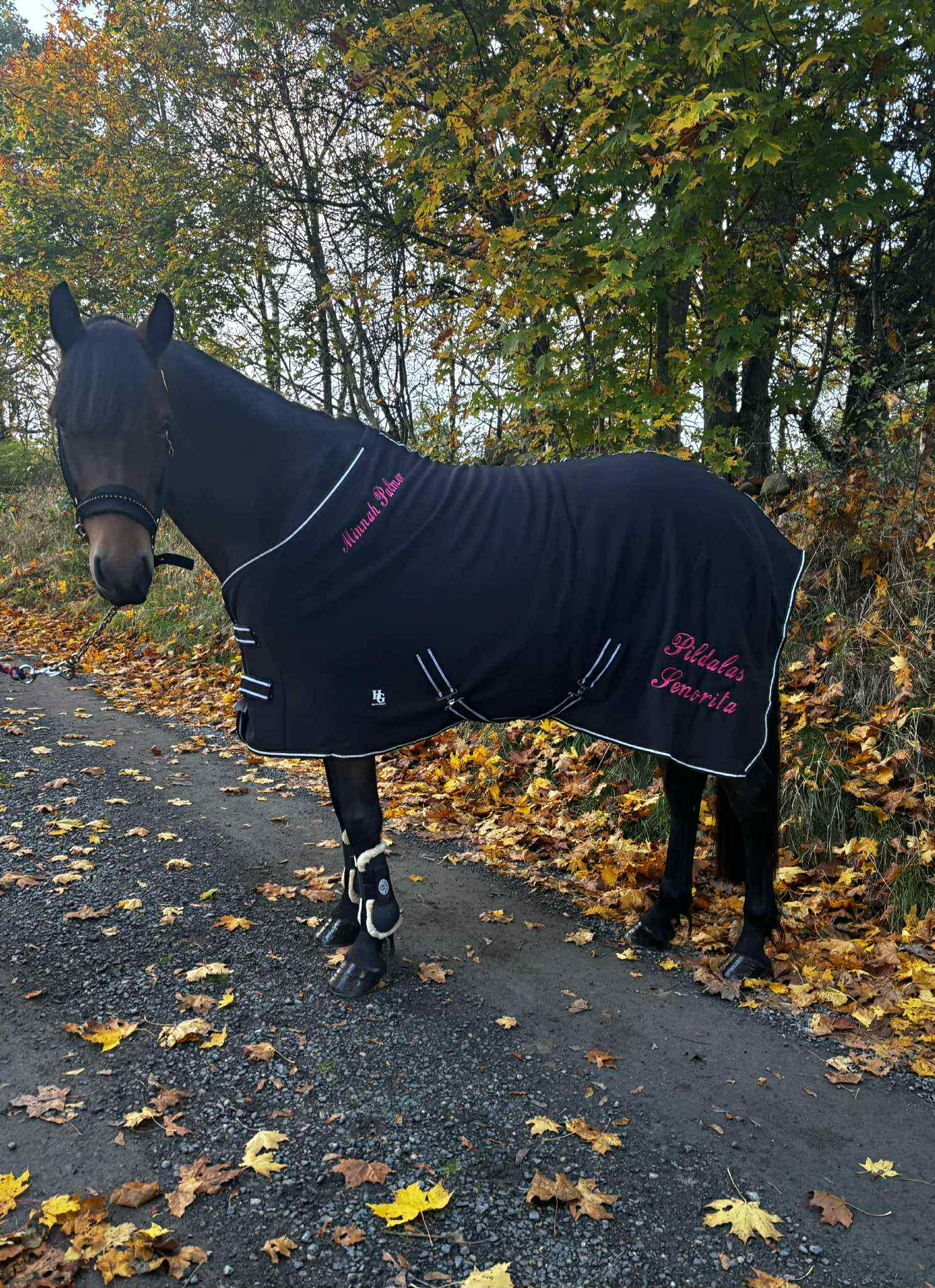 Brodyr på Täcke