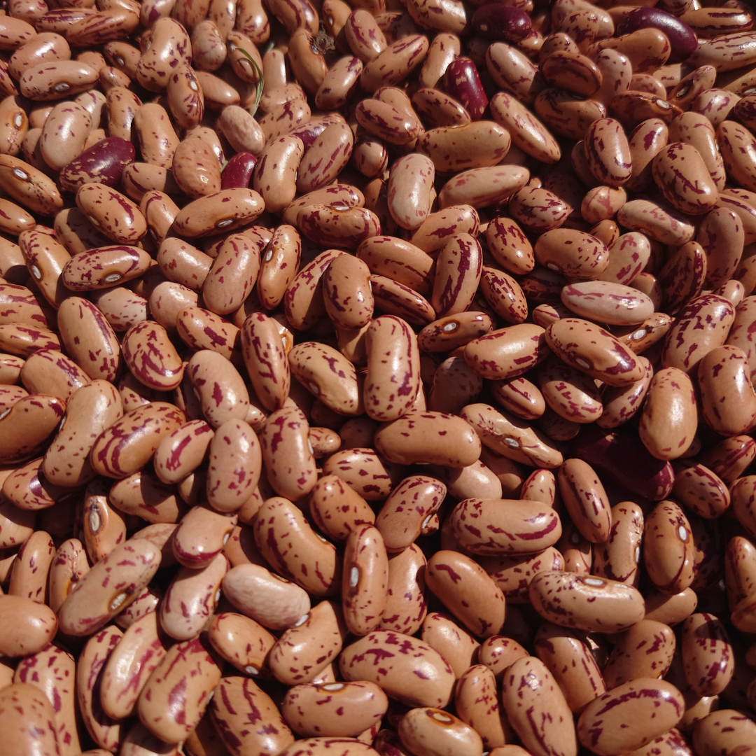 Kokböna - Mor Kristin - Kulturarv