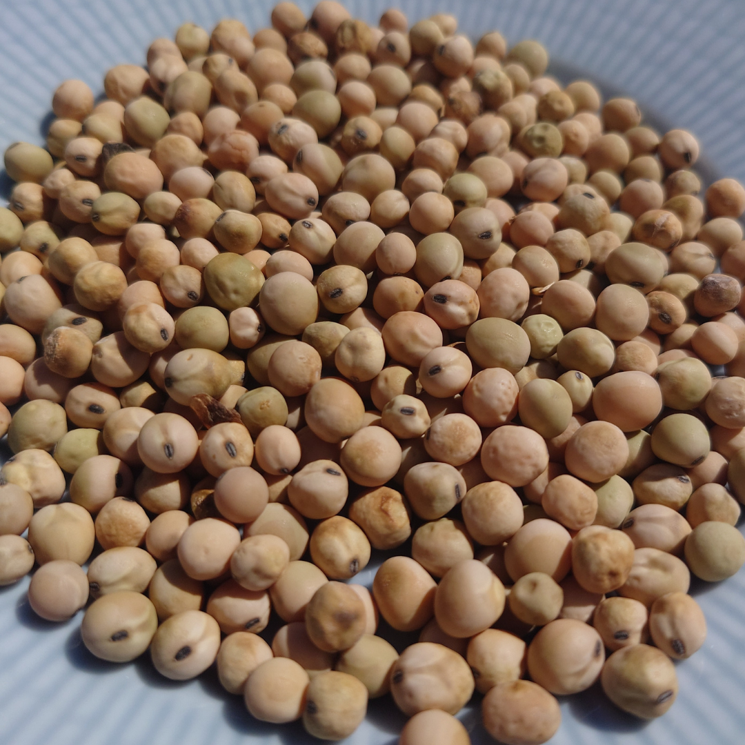 Sockerärt - Boaryd - Kulturarv