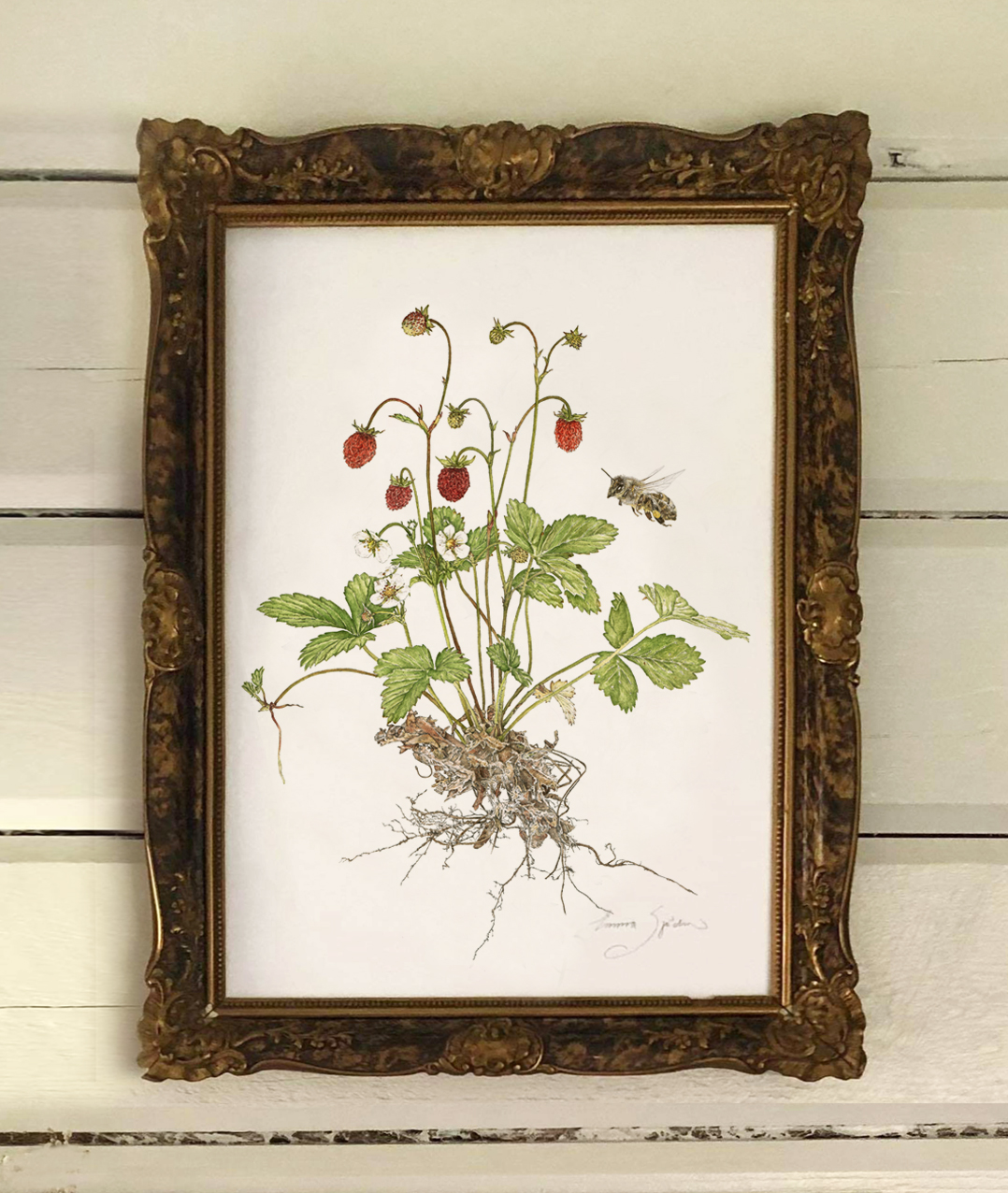 ART PRINT WOODLAND STRAWBERRIES  30x40