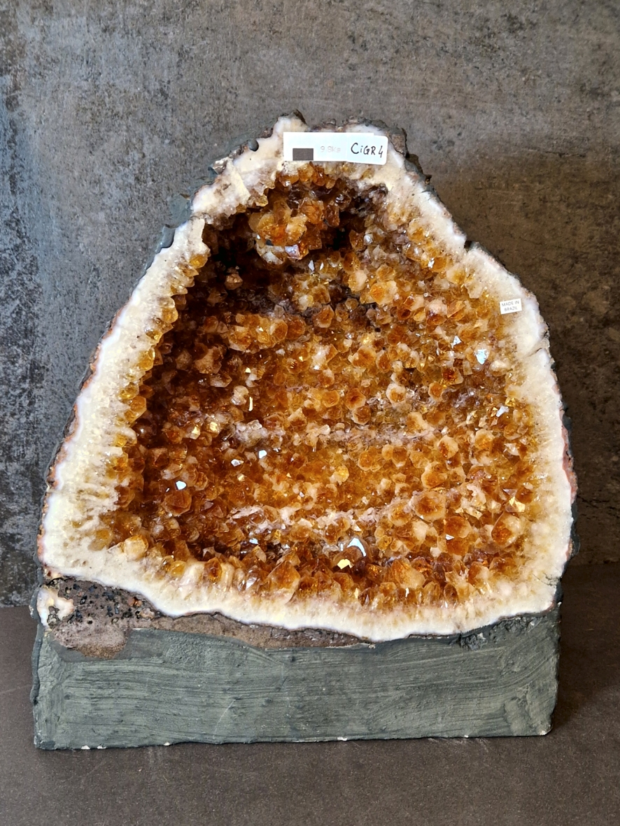 Citringrotta - 9,8kg