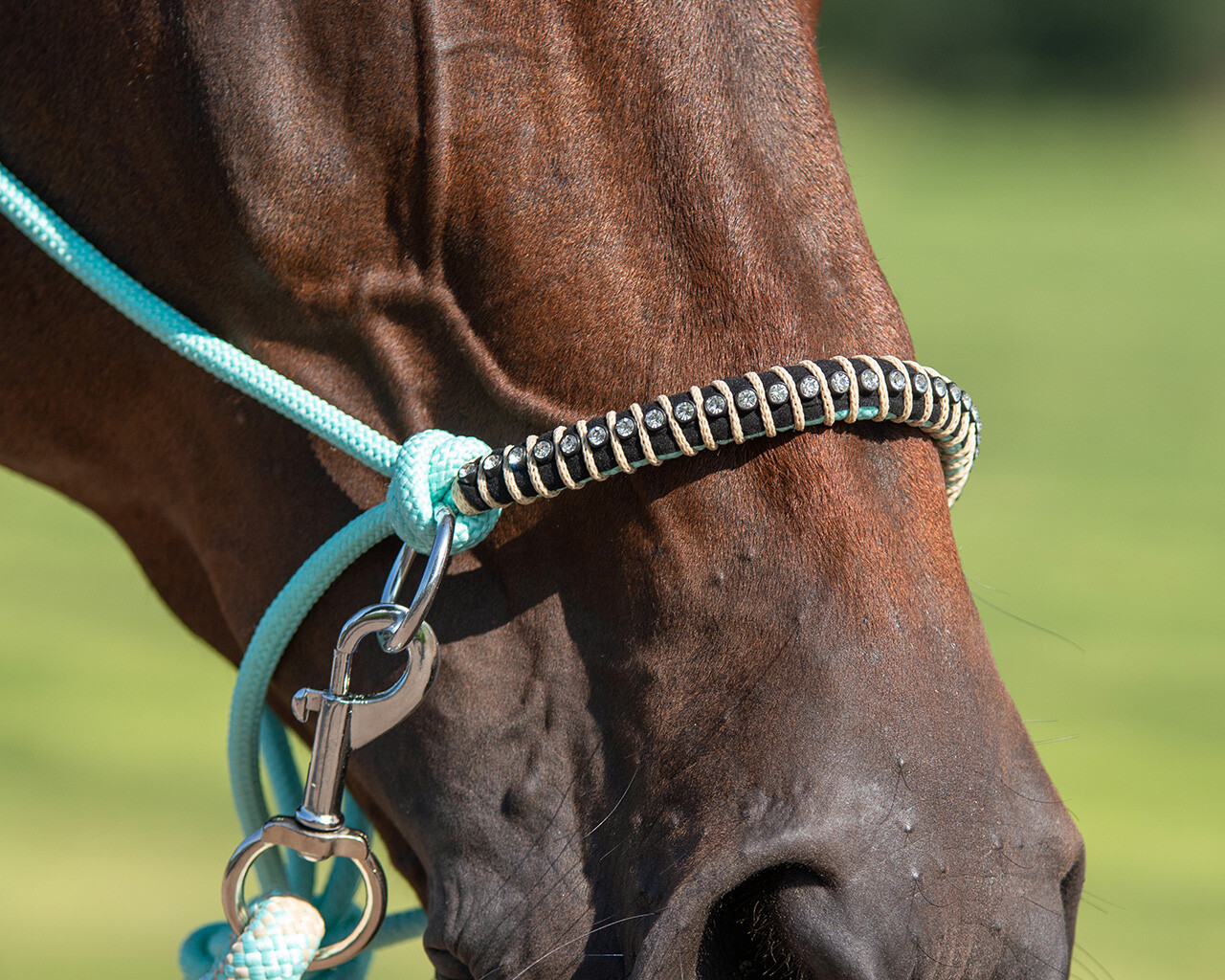 Rope halter combi Liberty QHP, aqua - 10