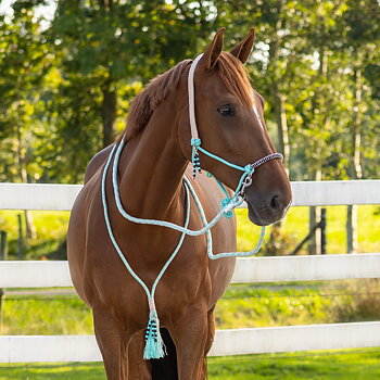 Ridrepgrimma med halsring & tyglar QHP 'Liberty', aqua