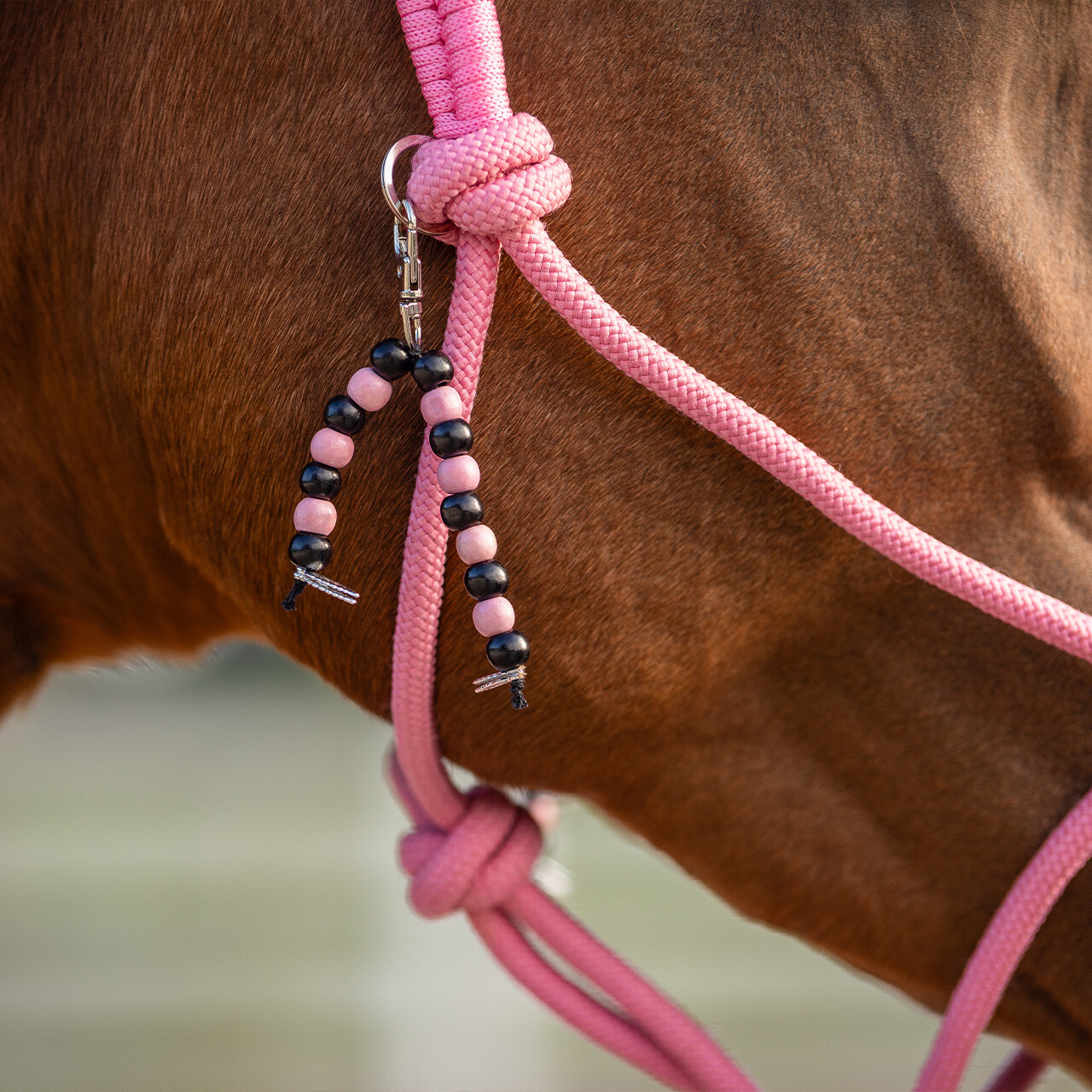 Rope halter combi Liberty QHP, light pink - 14