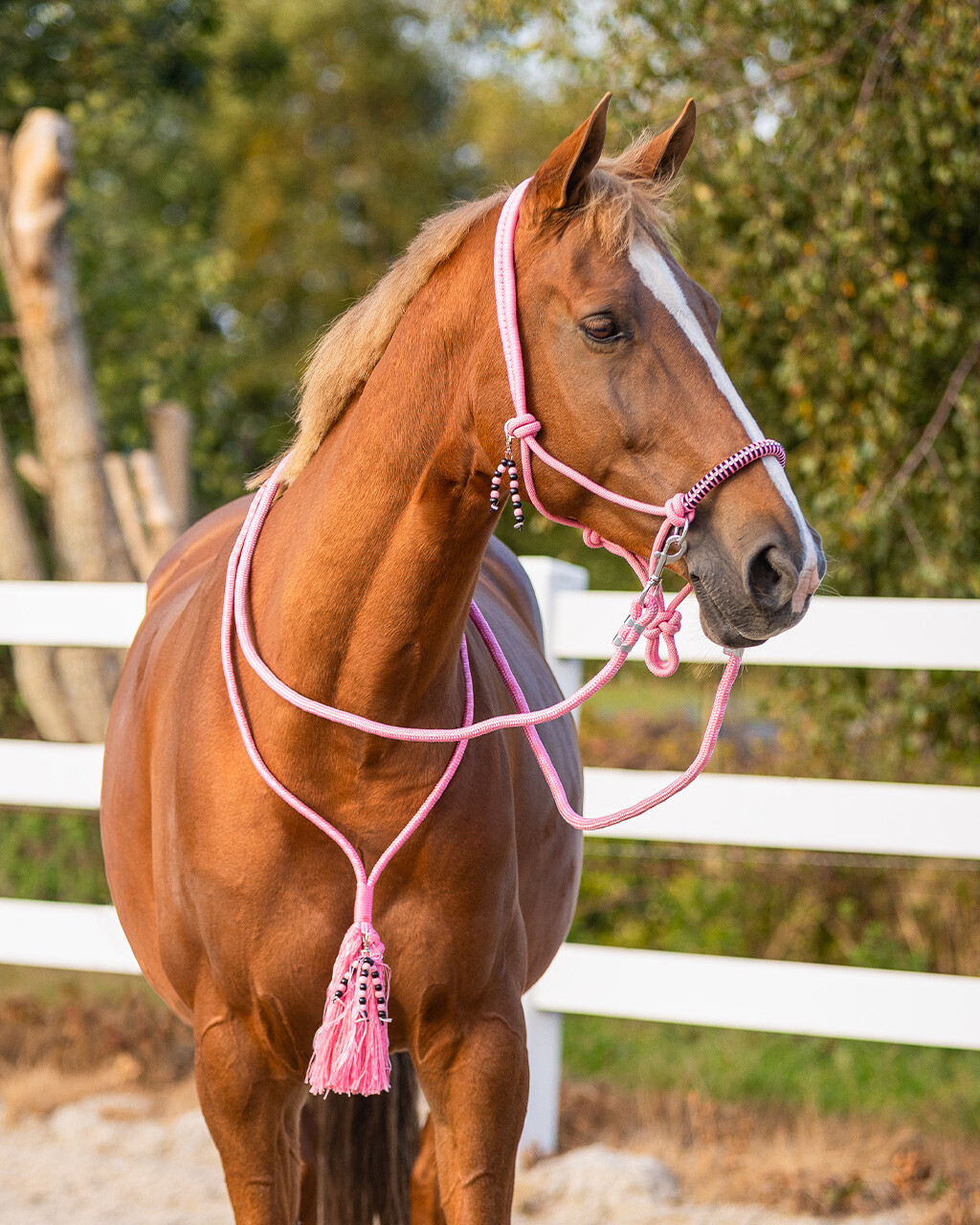 Rope halter combi Liberty QHP, light pink
