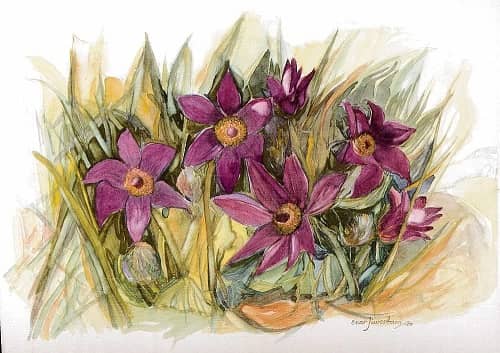 Blommor, vykort, retro - Flera att välja på - 3