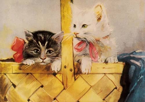 Katt - vykort. Kattkort med retro motiv. - 2