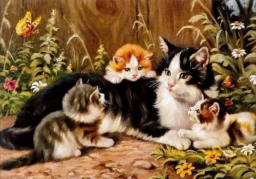 Katt - vykort. Kattkort med retro motiv. - 7
