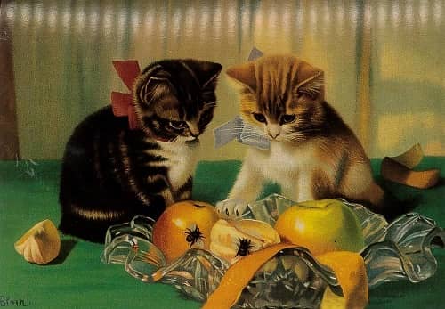 Katt - vykort. Kattkort med retro motiv. - 5