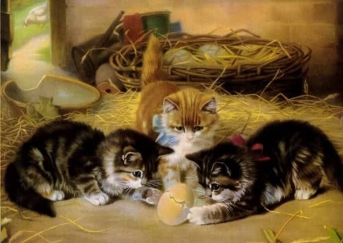 Katt - vykort. Kattkort med retro motiv. - 9