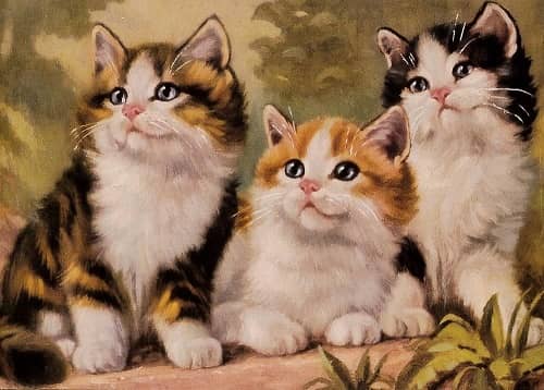 Katt - vykort. Kattkort med retro motiv.