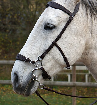 Hackamore shanks - Academical, silver
