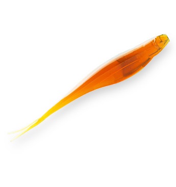 Z-Man StreakZ 3,75" 9,5 cm 6-pack - 7