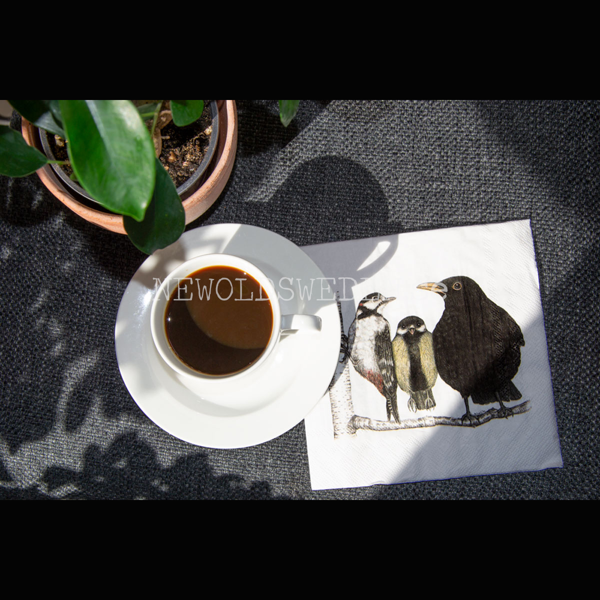 MORNING CONVERSATION FÅGLARNA Servett 20-pack 33 x 33 cm - 2