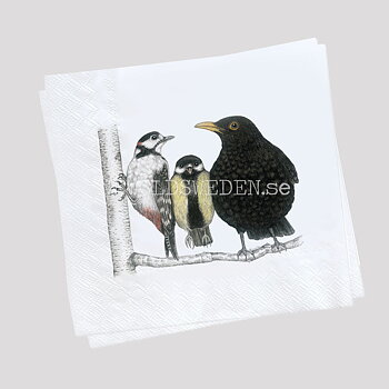 MORNING CONVERSATION FÅGLARNA Servett 20-pack 33 x 33 cm