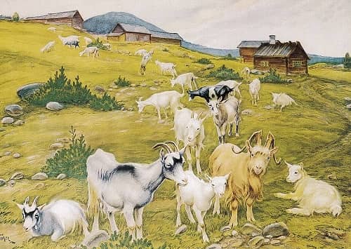 Retro vykort med vilda djur & tamdjur – Äkta nostalgikort - 2