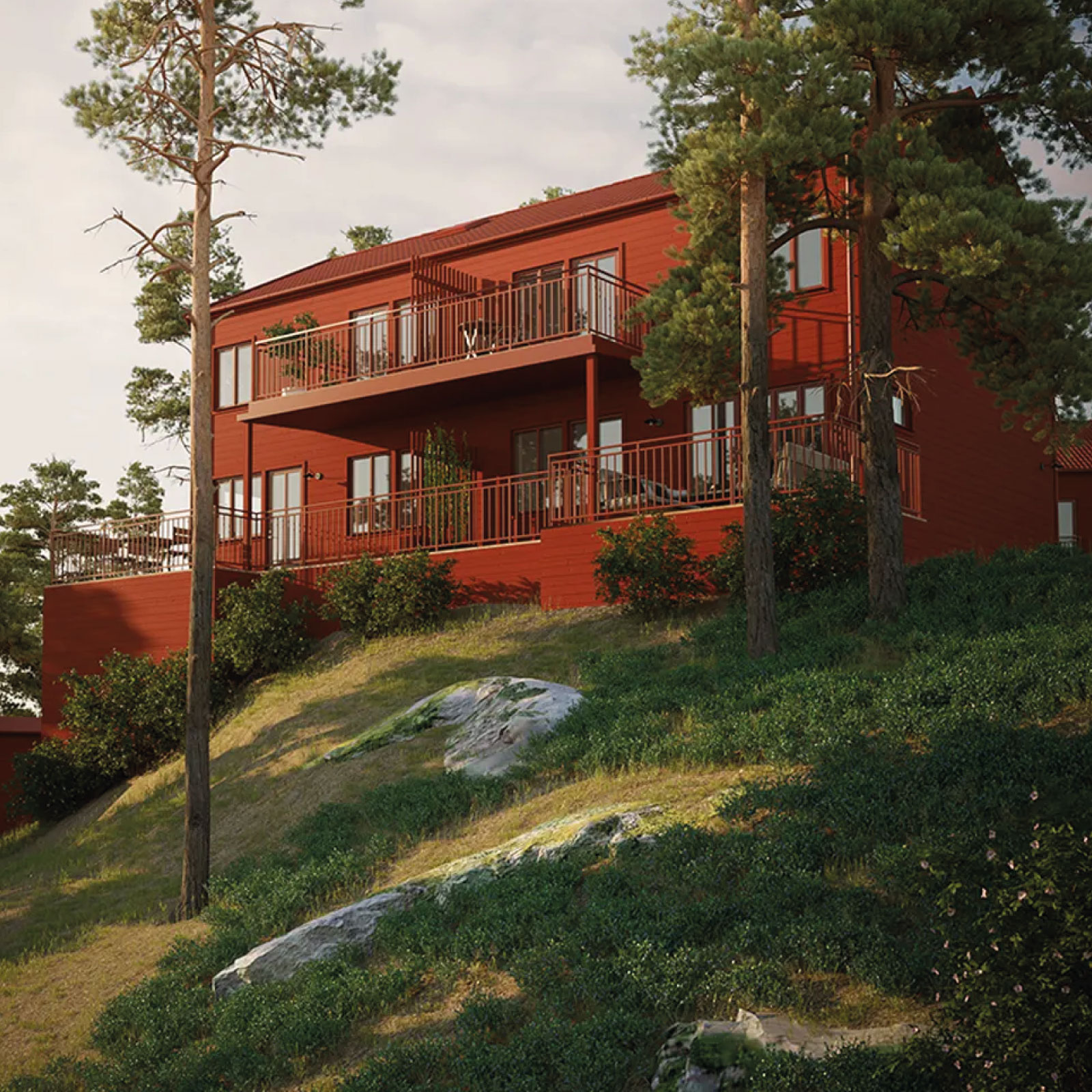 RÖDTJÄRA AUSON, flera varianter - 3