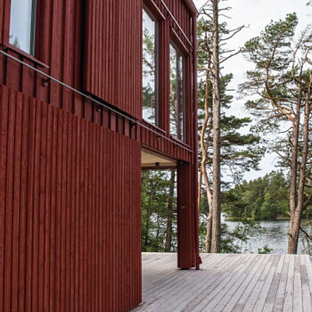 RÖDTJÄRA AUSON, flera varianter