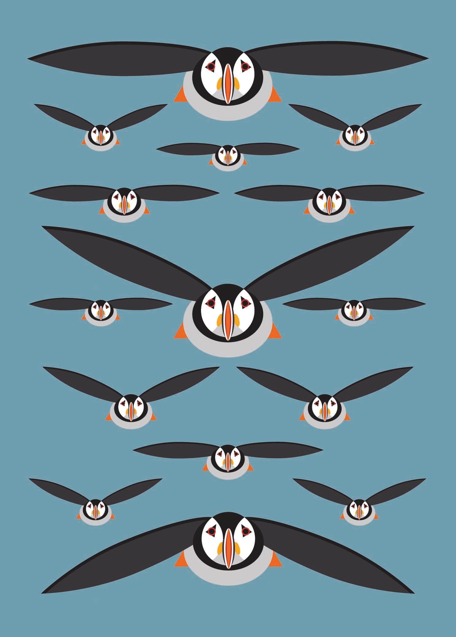 Puffin 7X5